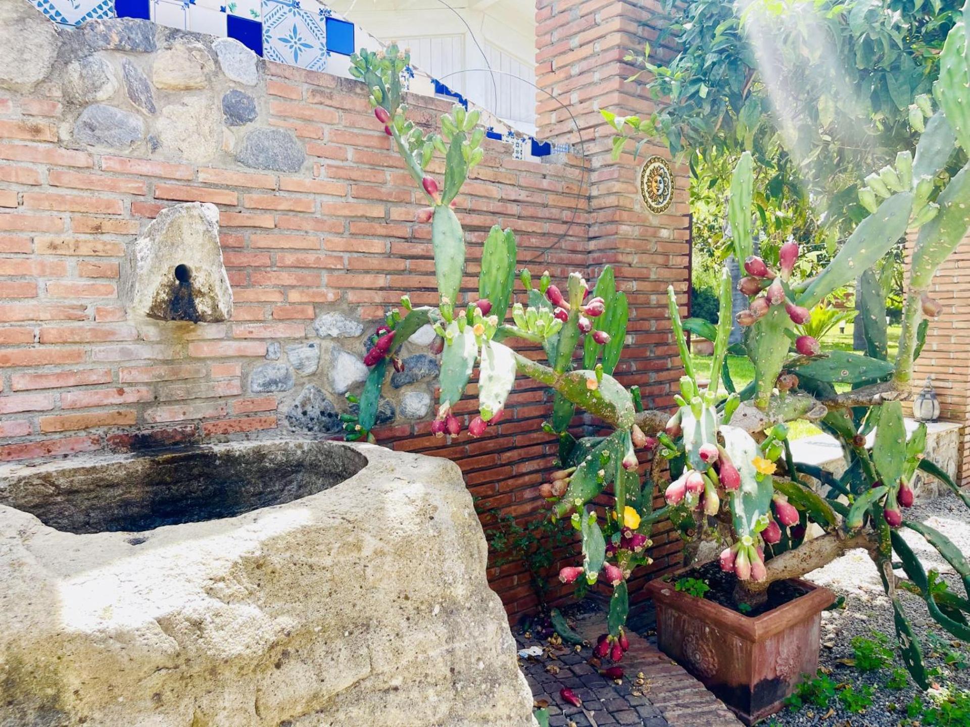 Borgo Camicia In Bed & Breakfast Barcellona-Pozzo di Gotto Exterior photo